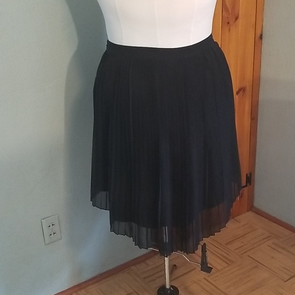 Pleated Chiffon Hi-Lo Skirt - Picture 2 of 5